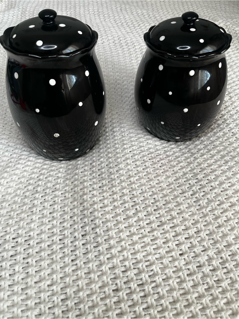 Temp-Tations by Tara Black with White Polka Dot Ceramic Canisters/Lids Set of 2